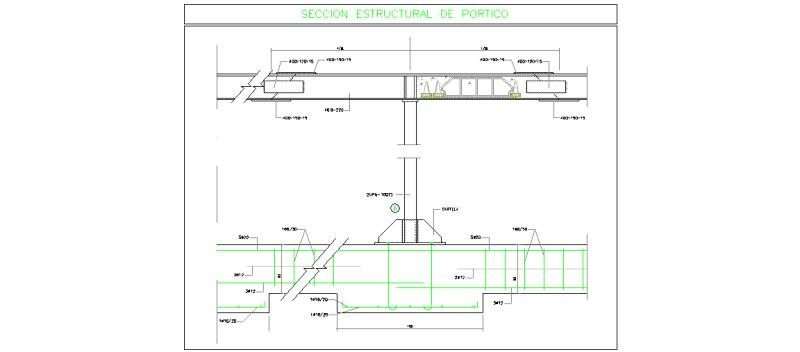 Sección estructural del pórtico acero