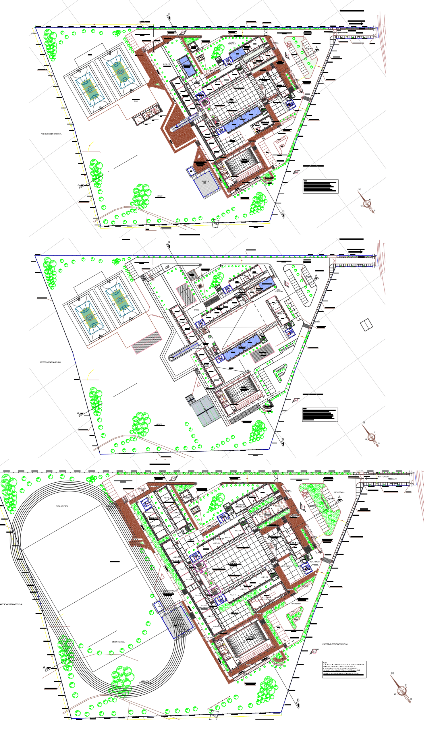 Propuesta Arquitectónica de Colegio en la Selva