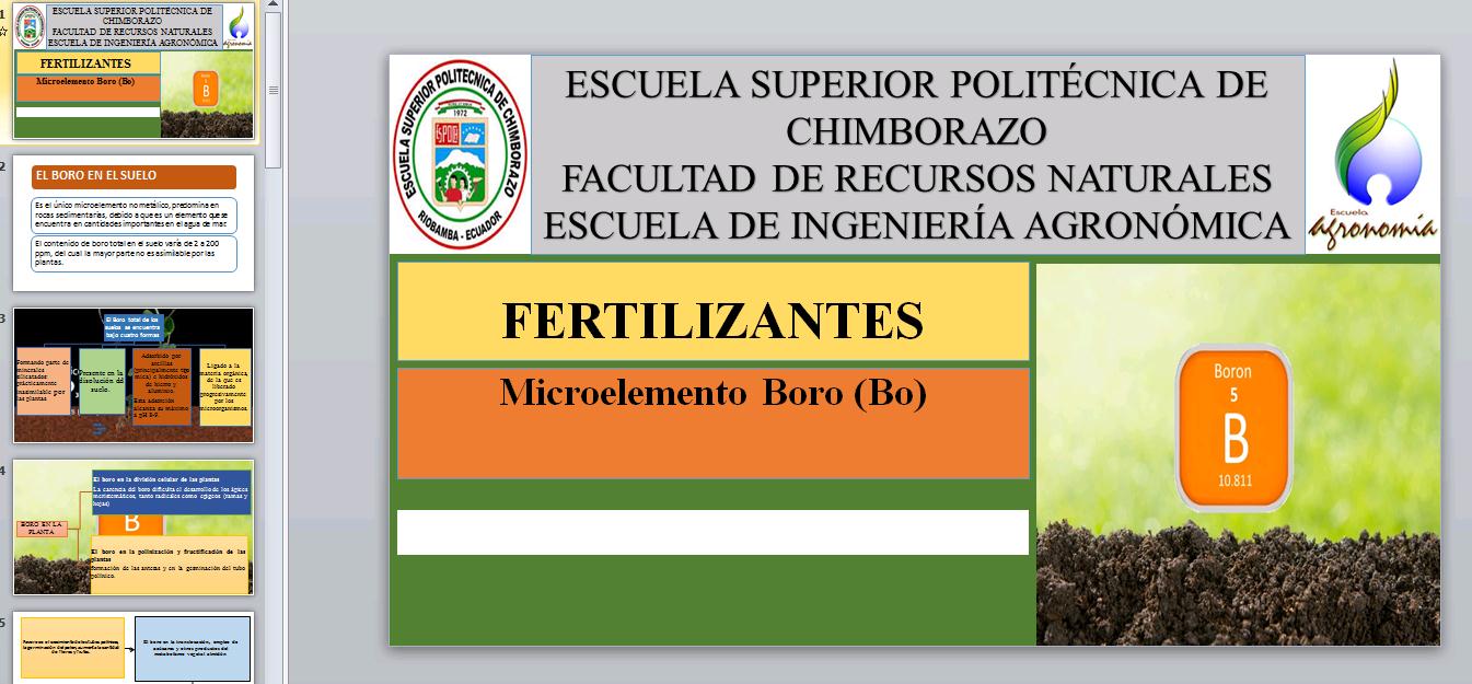 Micronutrientes de boro (b)