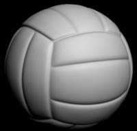 3d volleyball ball