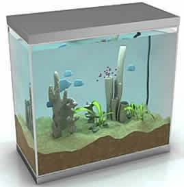 aquário 3d
