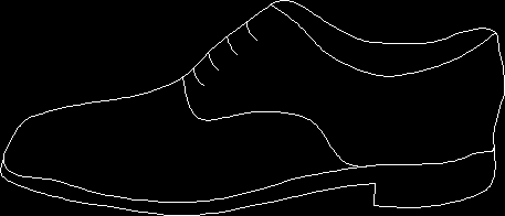 Shoe