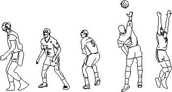 Jugadores de voleibol