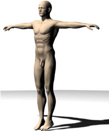 Figura umana - uomo nudo