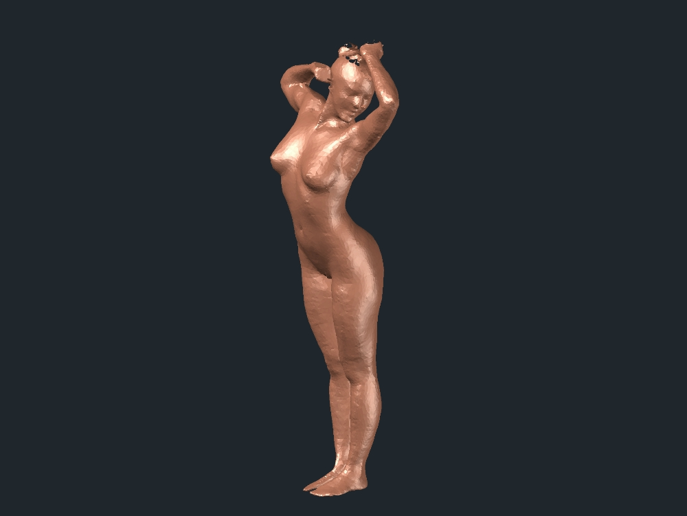 3d naked woman
