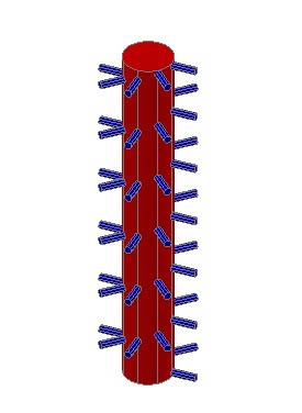 Transportador Helicoidal para Agricultura