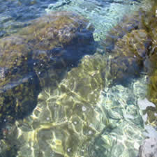 Mar dei Coralli