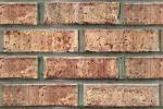 Common exposed brick