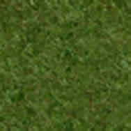 grass texture