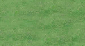 High resolution grass texture