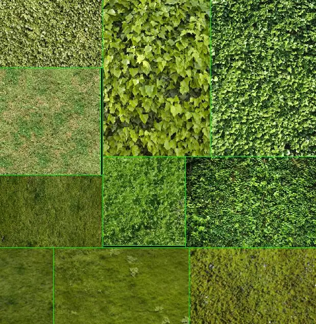 Herbe et végétation - textures