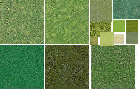 Texturas de grama e vegetação