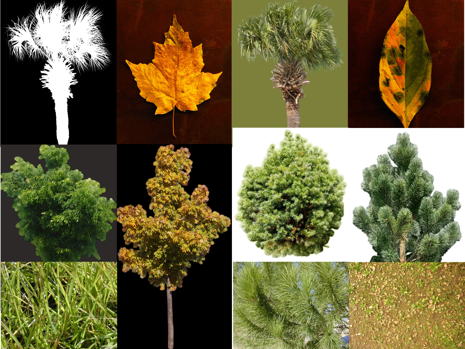 Texturas de árvores e folhagens
