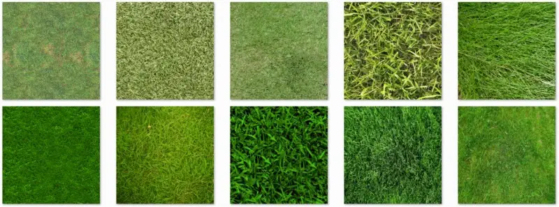 texture de l'herbe