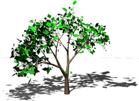 small tree in 3d