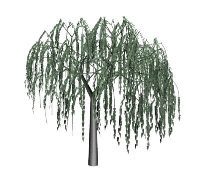willow3d-Modell