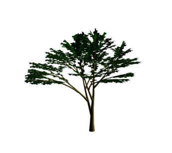 albero 3d