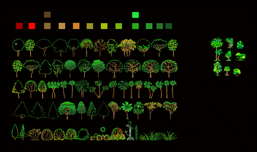 2D Bäume
