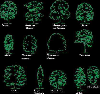 arbres d'europe en élévation