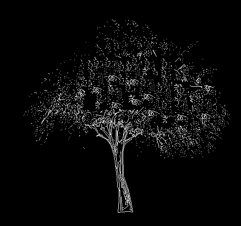 árvore tamarix