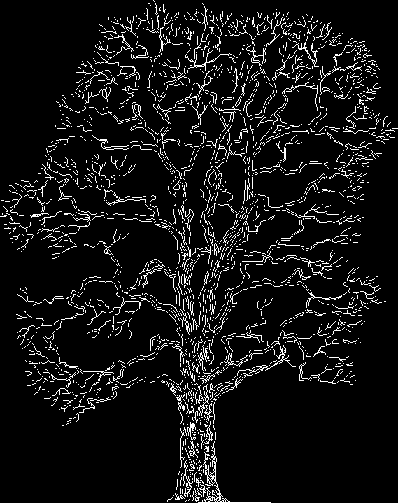 komplexer Baum