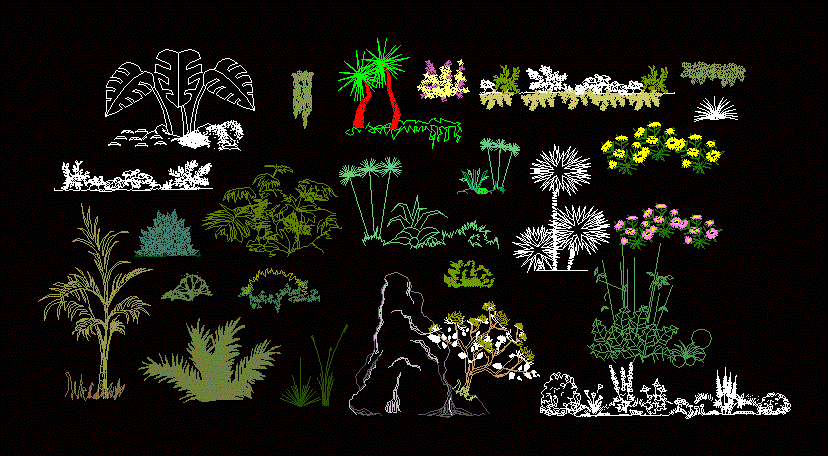 Pflanzen und Blumen im Aufriss