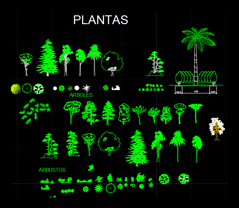 vegetazione di alberi e piante