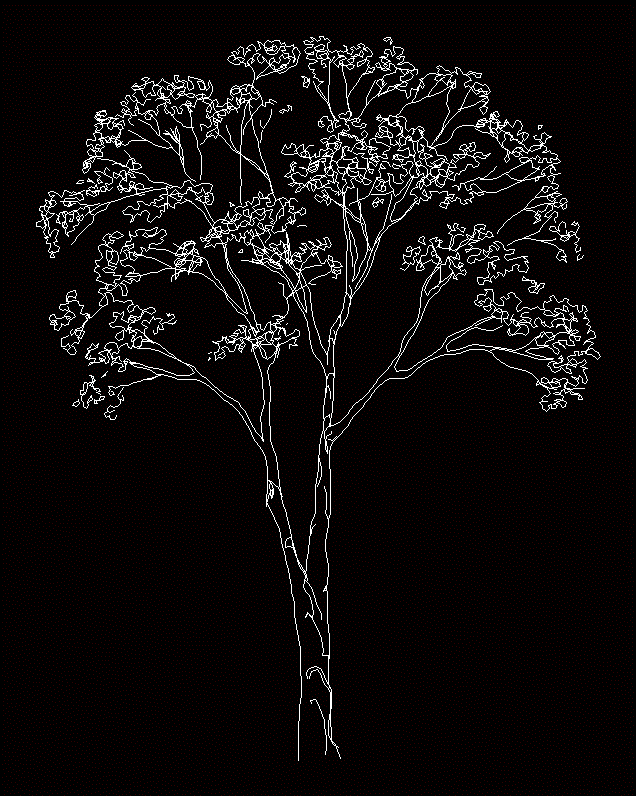 Bäume
