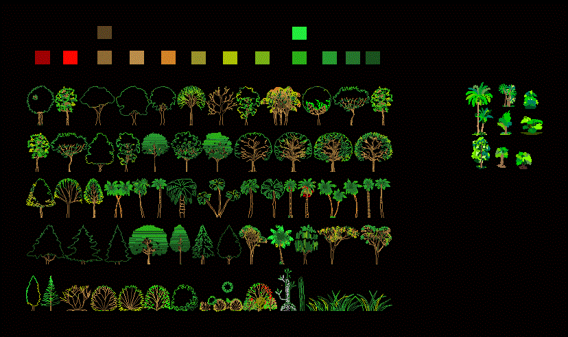 Trees and top view 2d