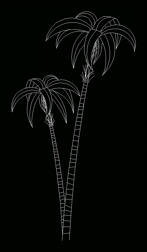 Palmen in der Höhe