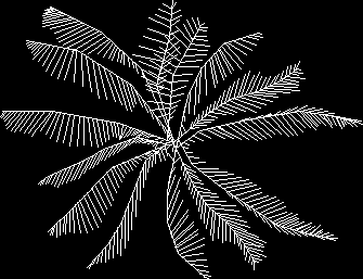palm in top view