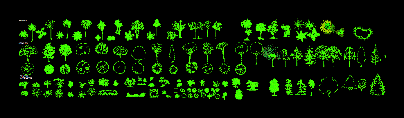 collezione di alberi