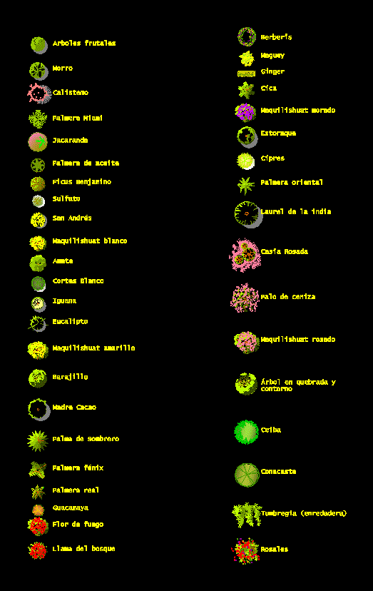 Arboles a color (planta)