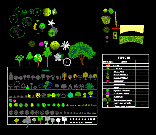 modèles d'arbres 2d