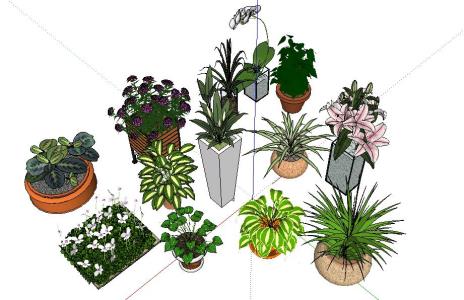 3D-Pflanzen