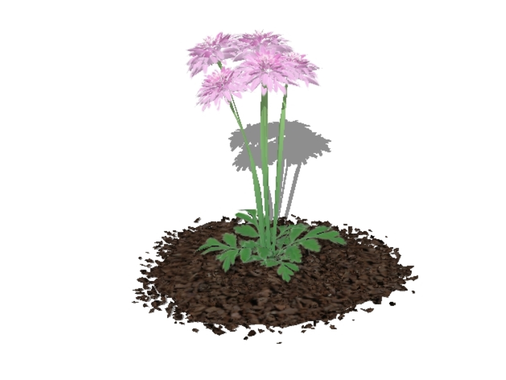 Plantas para jardines 3d - flores
