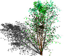 Baum in 3D