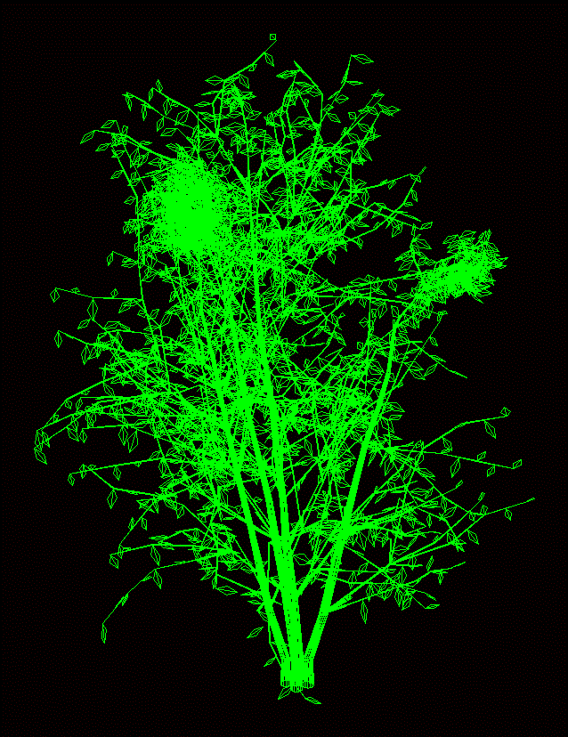 buisson 3d