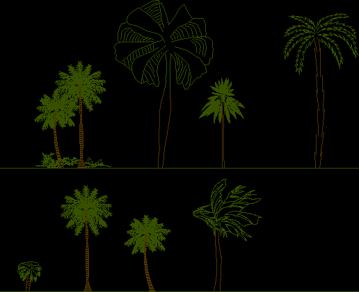 palmiers et cocotiers