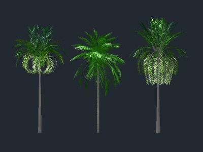 palmiers 3d avec des textures