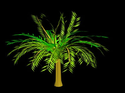 3d palm trees