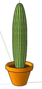 Cactus 3D