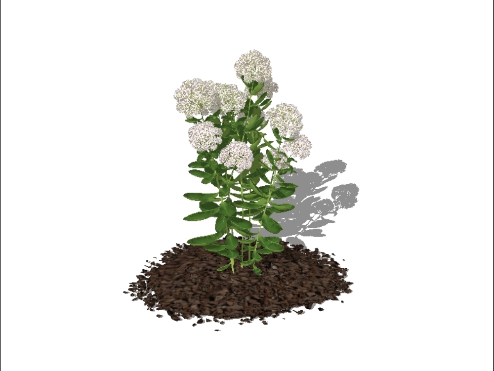Pflanzen für 3D-Gärten - Blumen