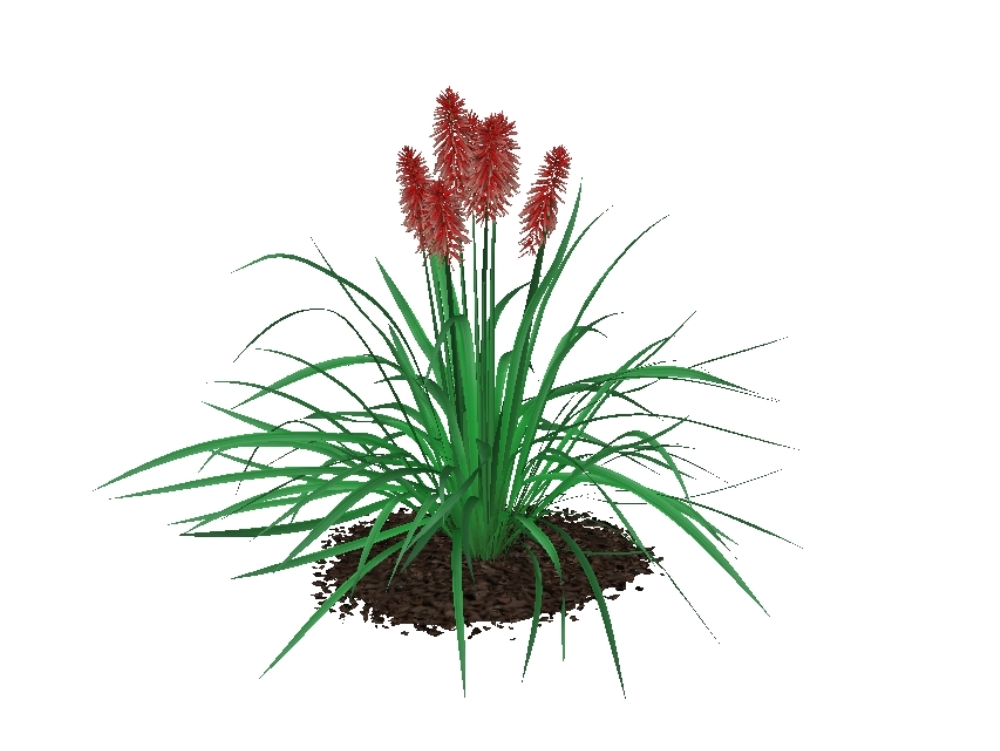 Hochauflösende 3D-Gartenpflanzen