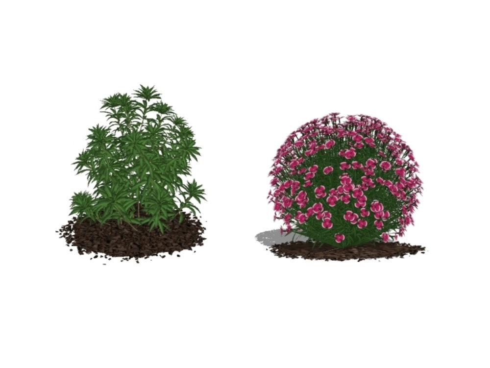 Hochauflösende 3D-Gartenpflanzen