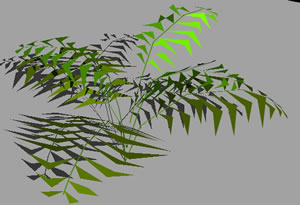 buisson 3d