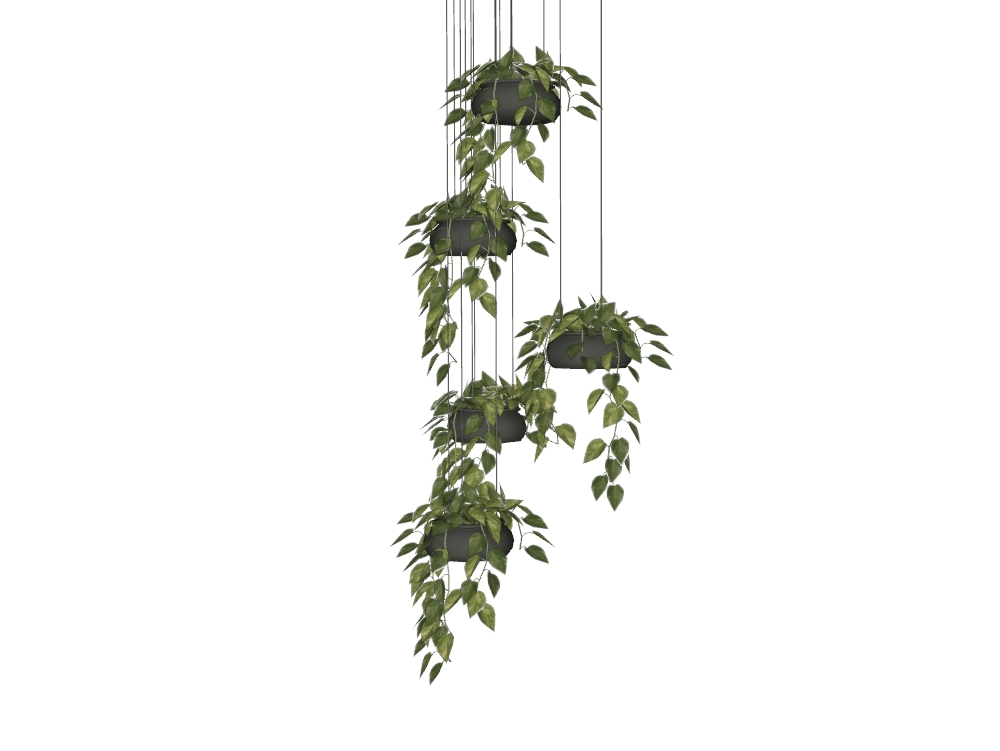 Pot with hanging plants with 5 positions