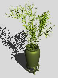 pianta con vaso