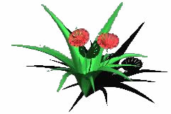 3d flower