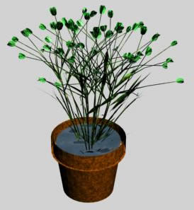 fiori in vaso 3d